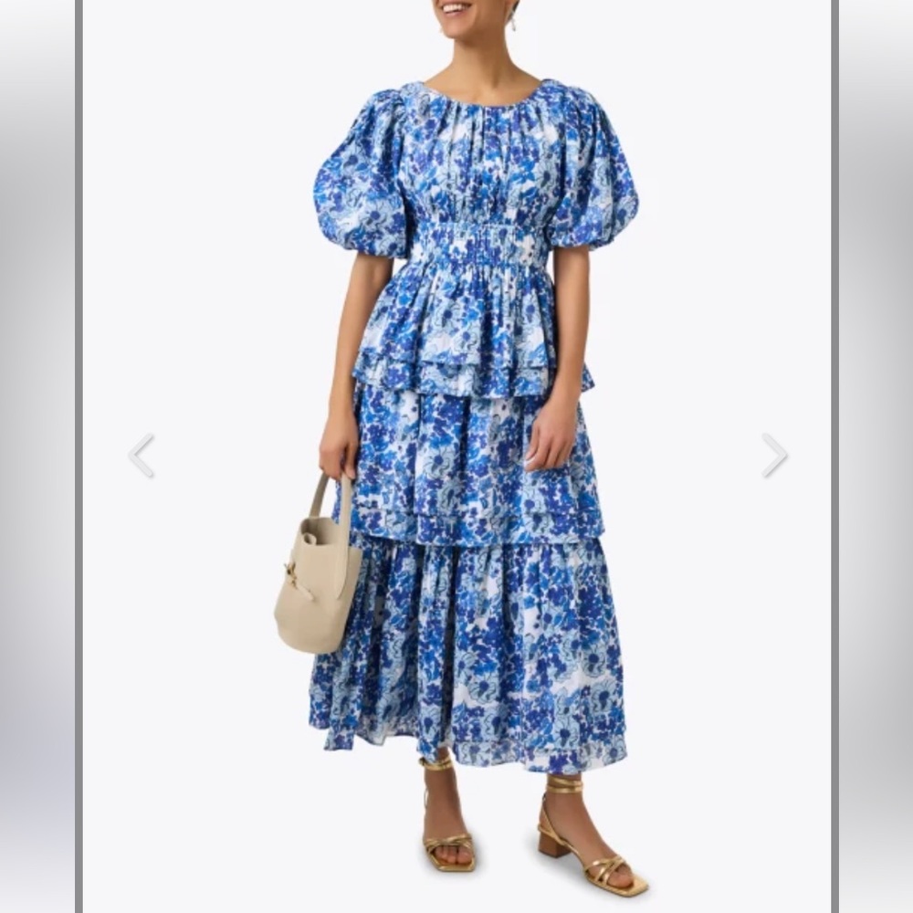 NWT! Ro’s Garden Chicago Blue Floral Printed Dress
